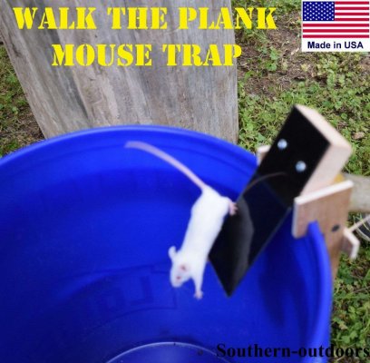 Walk-the-Plank-Mouse-Trap-1.jpg