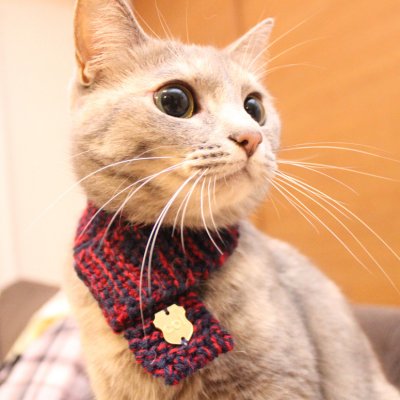 neko-muffler-knitted-cat-scarf-xl.jpg