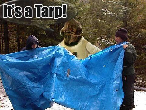 Its-a-tarp.png