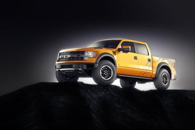 Yellow Raptor.jpg