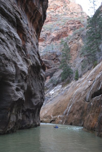 ZionNarrows (8).JPG