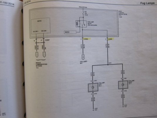 fogs 019.JPG