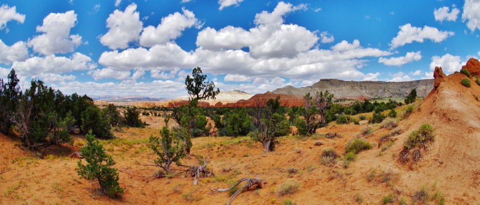 2015-09-06 KODACHROME BASIN 052.JPG