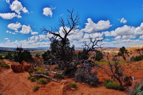 2015-09-06 KODACHROME BASIN 084.JPG