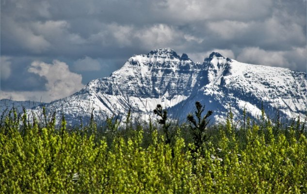 GLACIER NP 065.JPG