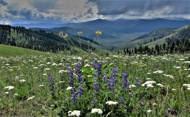 GLACIER NP 084.JPG