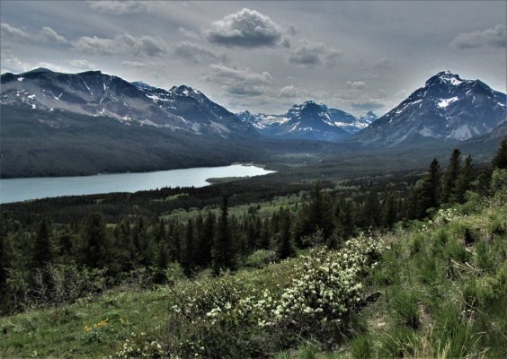 GLACIER NP 413.JPG