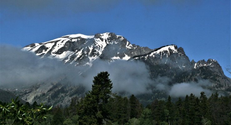 2009-06-26 GRAND TETONS NP 015.JPG