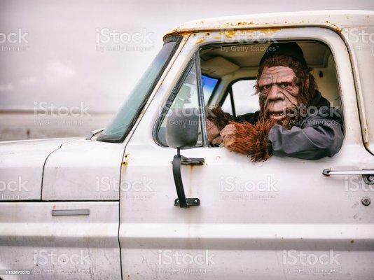 sasquatch-truck-driver-picture-id1133873573.jpg