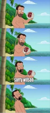 funny-pictures-wilson-from-cast-away.jpg