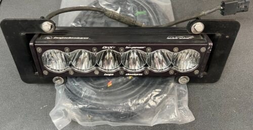 Gen2 Raptor 10 GRILLE LOWER LIGHT KIT.jpg