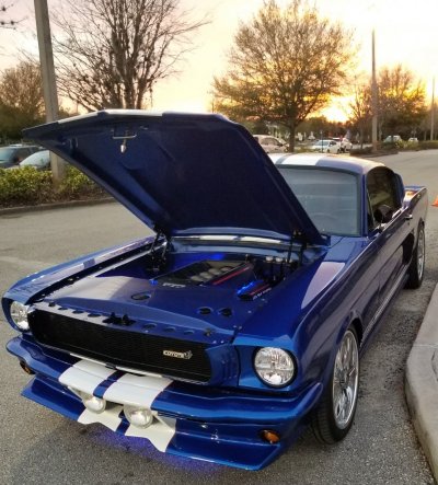 Mustang at Dusk.jpg