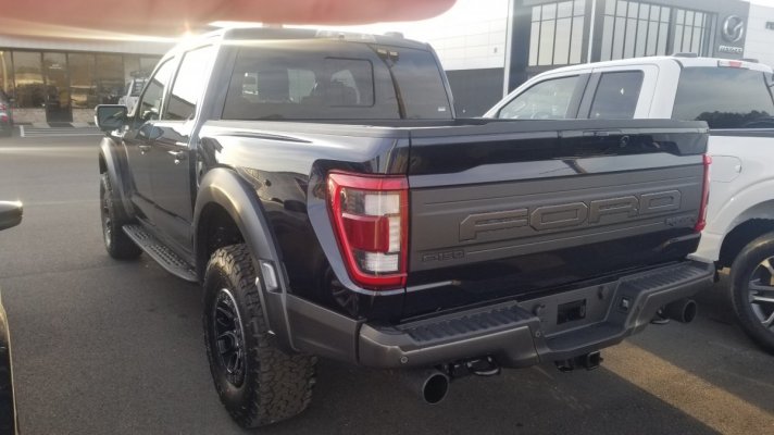 2023 Ford F150 Raptor Side.jpg