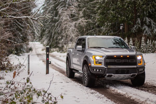 Raptor Dec 20 snow.jpg