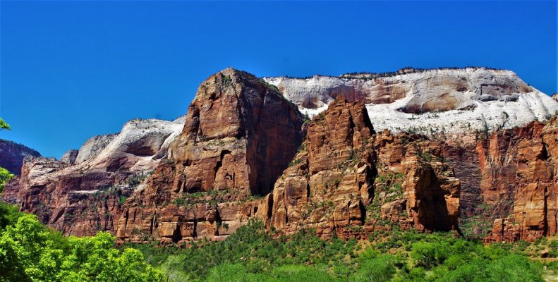 2017-05-02 Zion 5-2-17 007.JPG