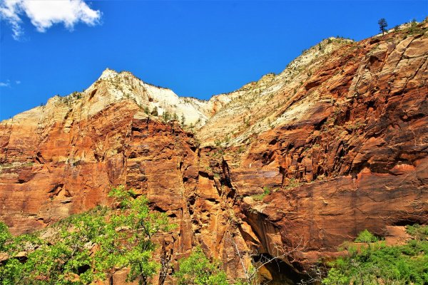 2017-05-02 Zion 5-2-17 045.JPG