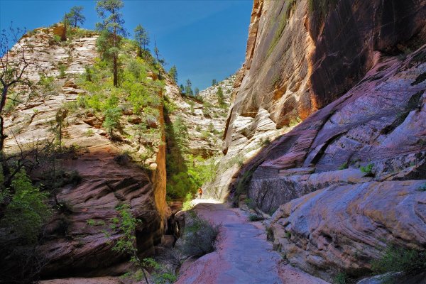 2017-05-02 Zion 5-2-17 078.JPG