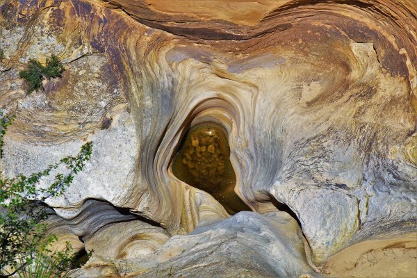 2017-05-02 Zion 5-2-17 077.JPG