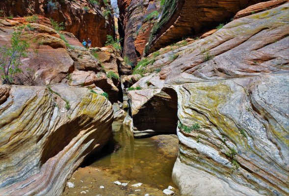 2017-05-02 Zion 5-2-17 080.JPG