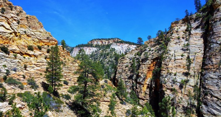 2017-05-02 Zion 5-2-17 117.JPG