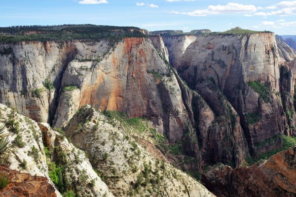 2017-05-02 Zion 5-2-17 337.JPG