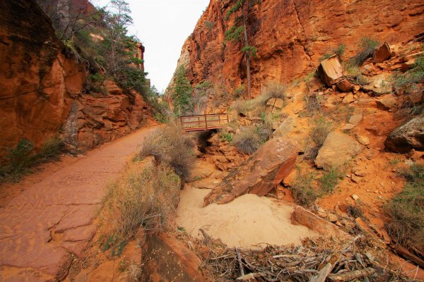 2016-12-15 ANGELS LANDING 12-2016 055.JPG