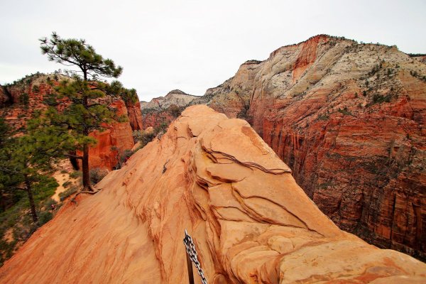 2016-12-15 ANGELS LANDING 12-2016 111.JPG