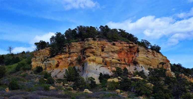 2017-05-02 Zion 5-2-17 430.JPG