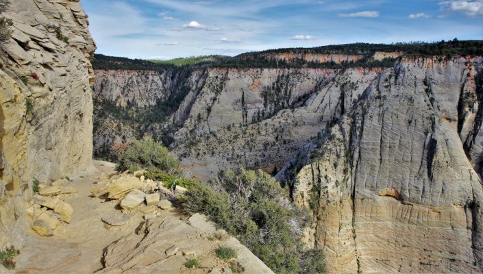 2017-05-02 Zion 5-2-17 449.JPG