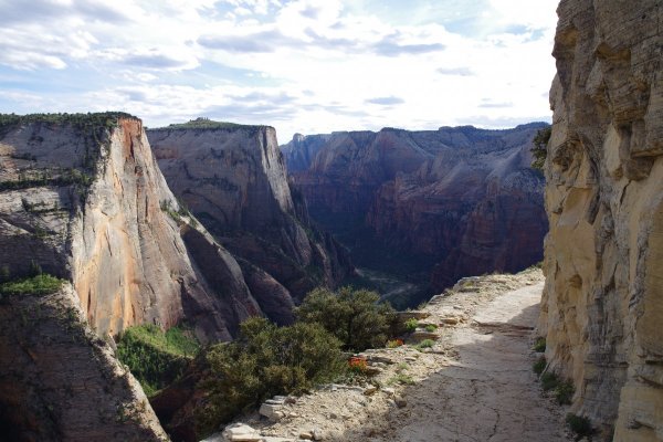 2017-05-02 Zion 5-2-17 455.JPG