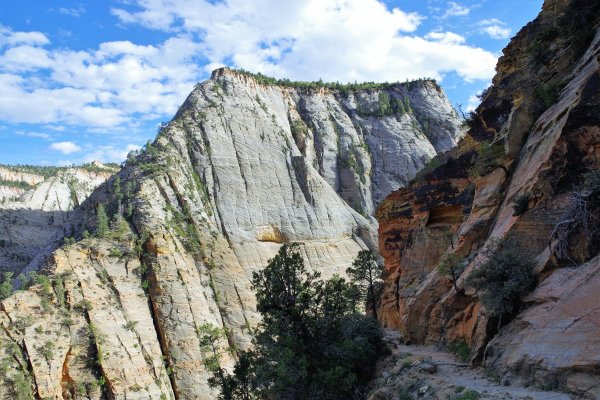 2017-05-02 Zion 5-2-17 461.JPG