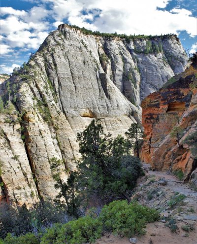 2017-05-02 Zion 5-2-17 462.JPG