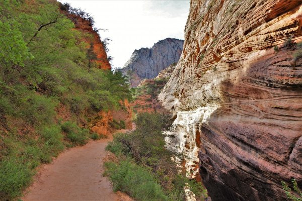 2017-05-02 Zion 5-2-17 501.JPG