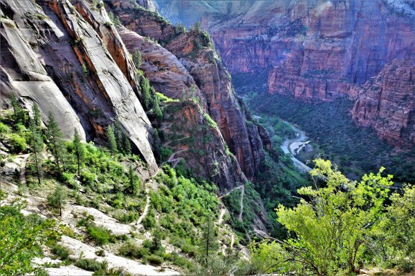 2017-05-02 Zion 5-2-17 504.JPG