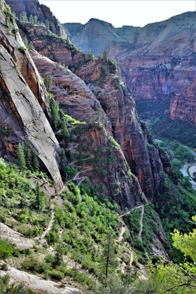 2017-05-02 Zion 5-2-17 505.JPG