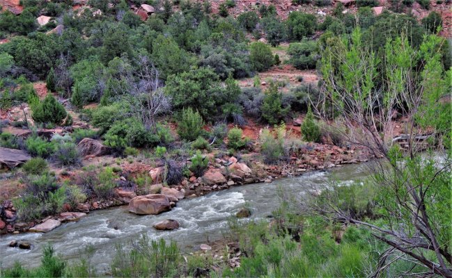 2017-05-02 Zion 5-2-17 549.JPG