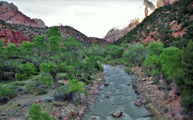 2017-05-02 Zion 5-2-17 554.JPG