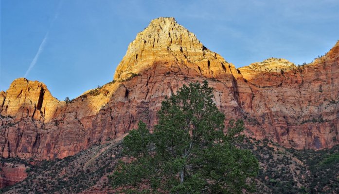 2017-05-02 Zion 5-2-17 560.JPG