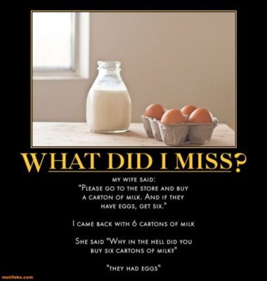 what-did-i-miss-male-logic-demotivational-posters-13062749181.jpg