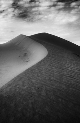 Razorback-at-Algodones-Dunes-by-Greg-Vorobiov.jpg