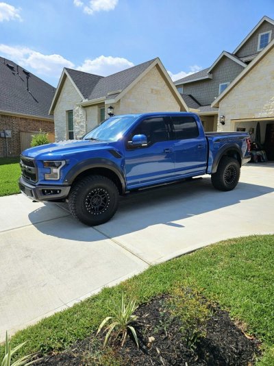 Raptor1.jpg Raptor1.jpg