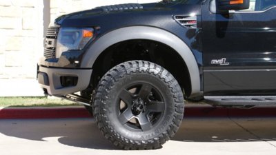 2013Raptor 008.jpg