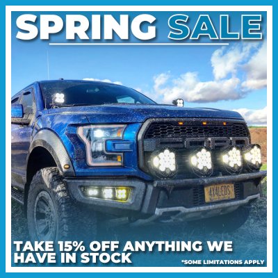 Spring Sale - 15 Off (Raptor).jpg