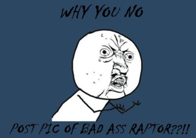 Why-You-No-Guy Raptor.jpg