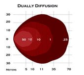 Diffusion Pattern.JPG