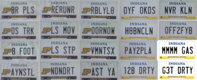 LICENSE PLATES.png