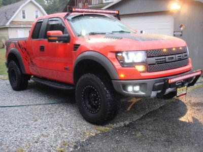 raptor1 002.jpg