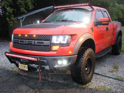 raptor1 001.jpg