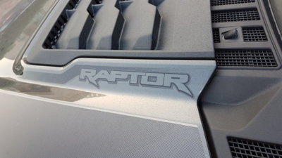 Raptor3.jpg