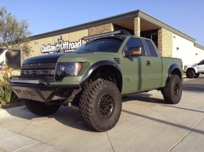 green raptor.jpg